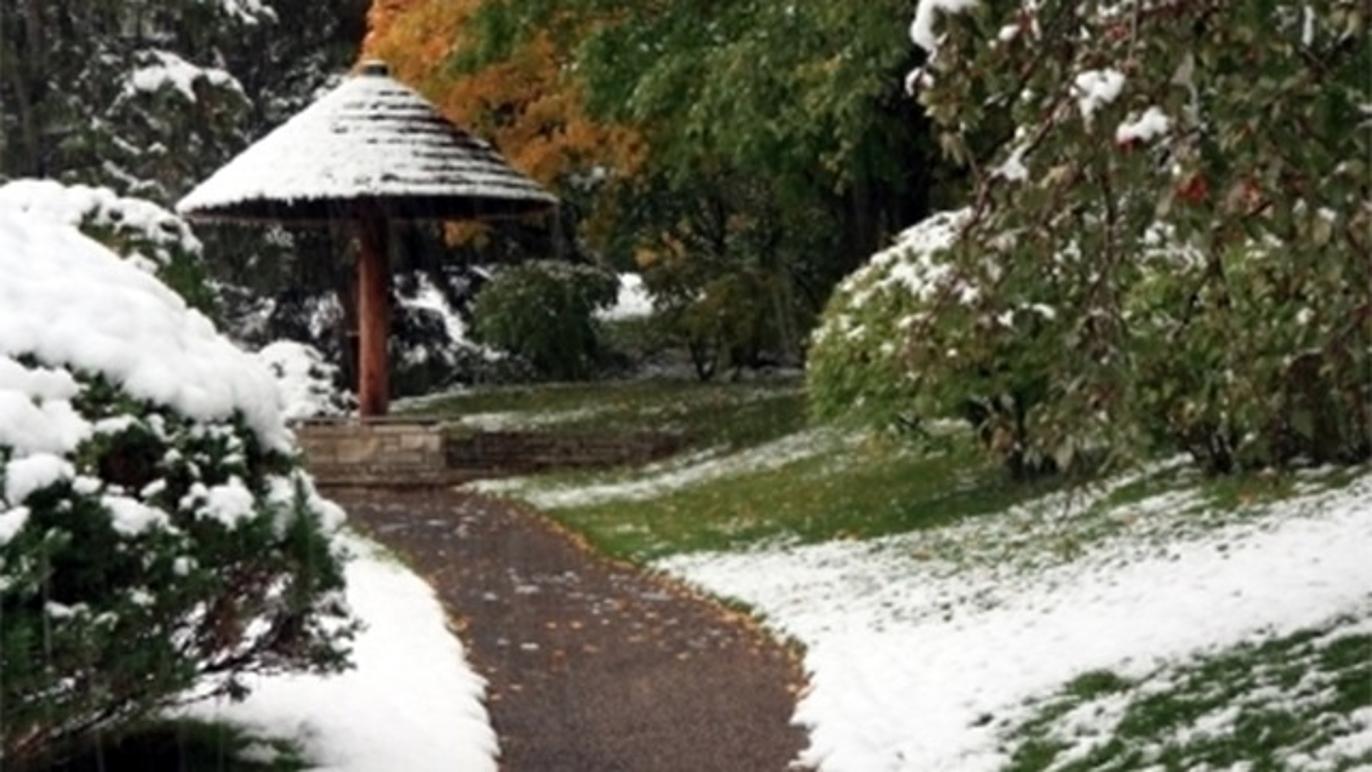 Images Stendal Anlægs- & Haveservice