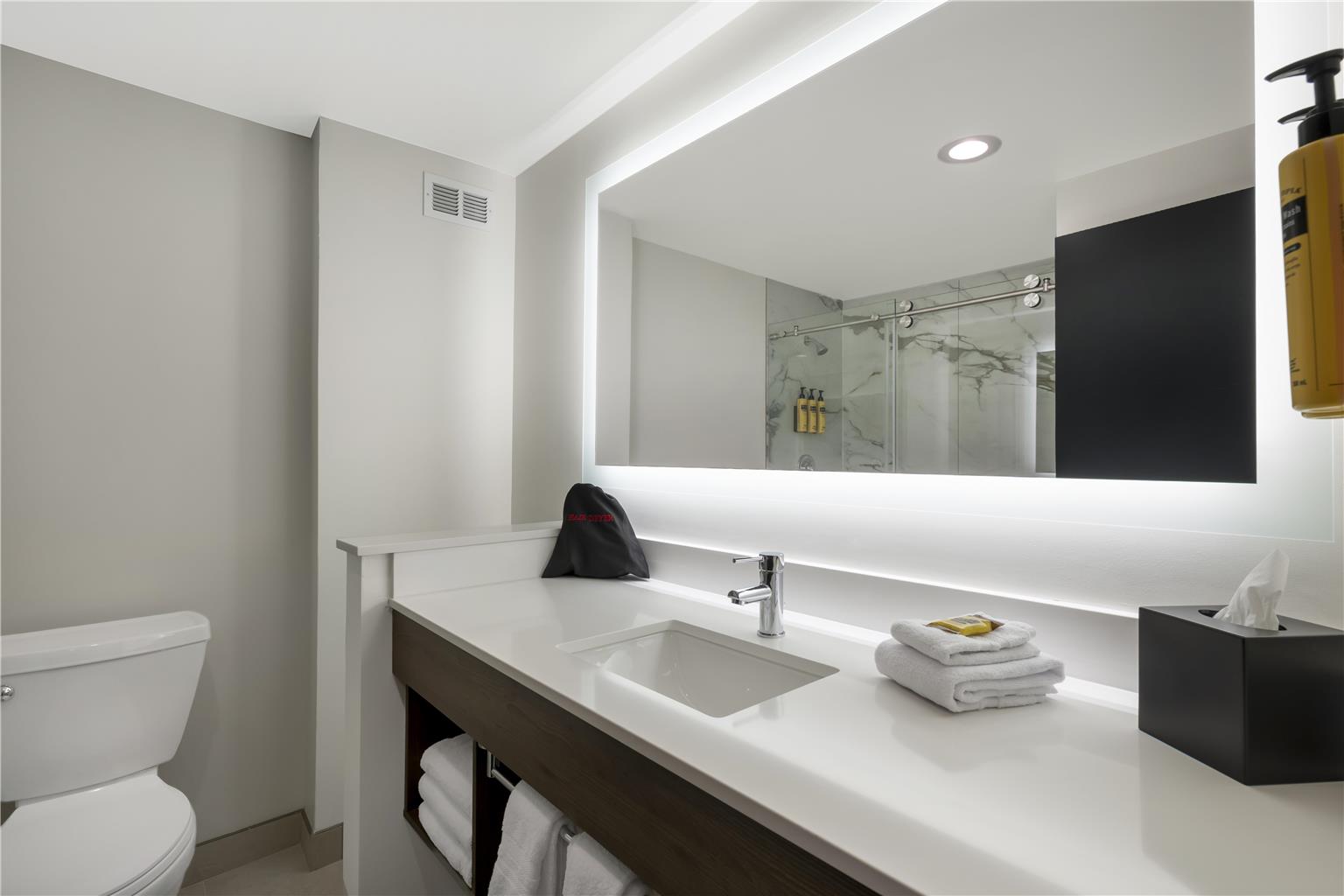 Regular King Bathroom