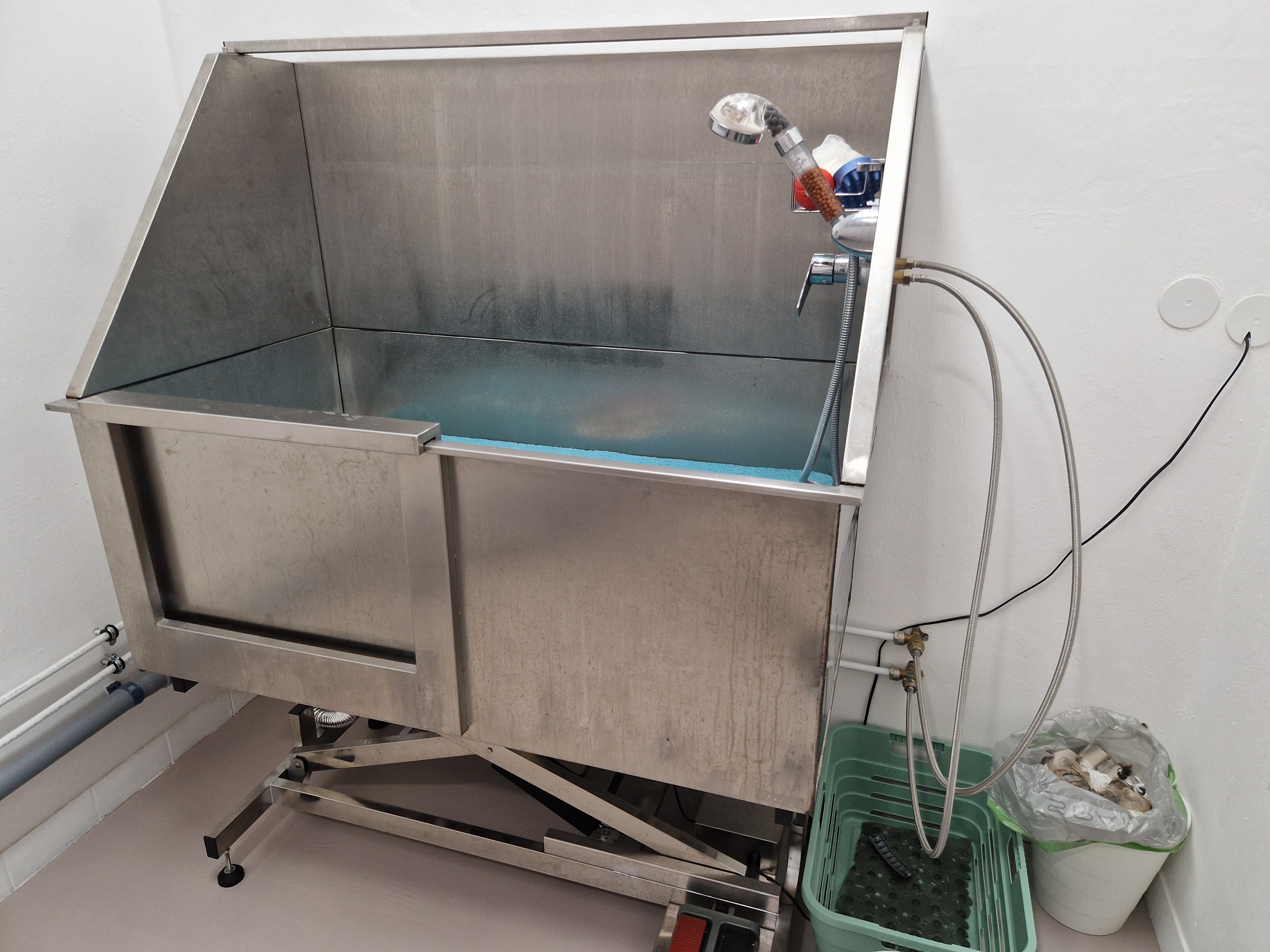 Bild 1 von Beauty-Dogs