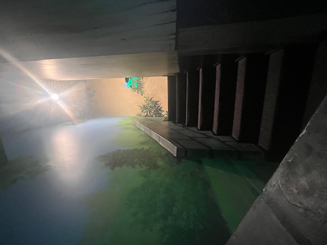 Dentistry for Children - Conyers Image