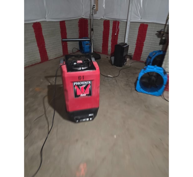 Images AIM Green Restoration