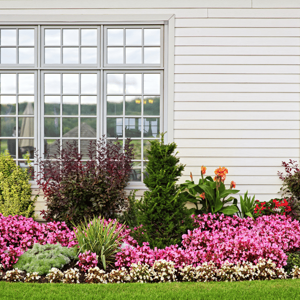 Images Lopez Tree Services and Landscaping