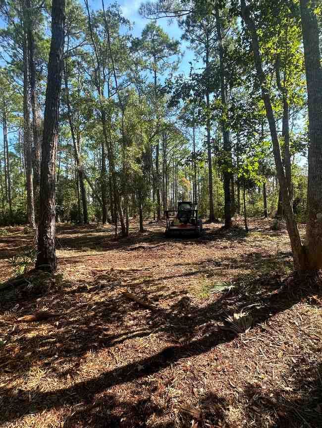 Forestry mulching and land clearing operation within a wooded area. Selective vegetation management improves access, reduces overgrowth, enhances safety, and creates a more functional and attractive property environment.
