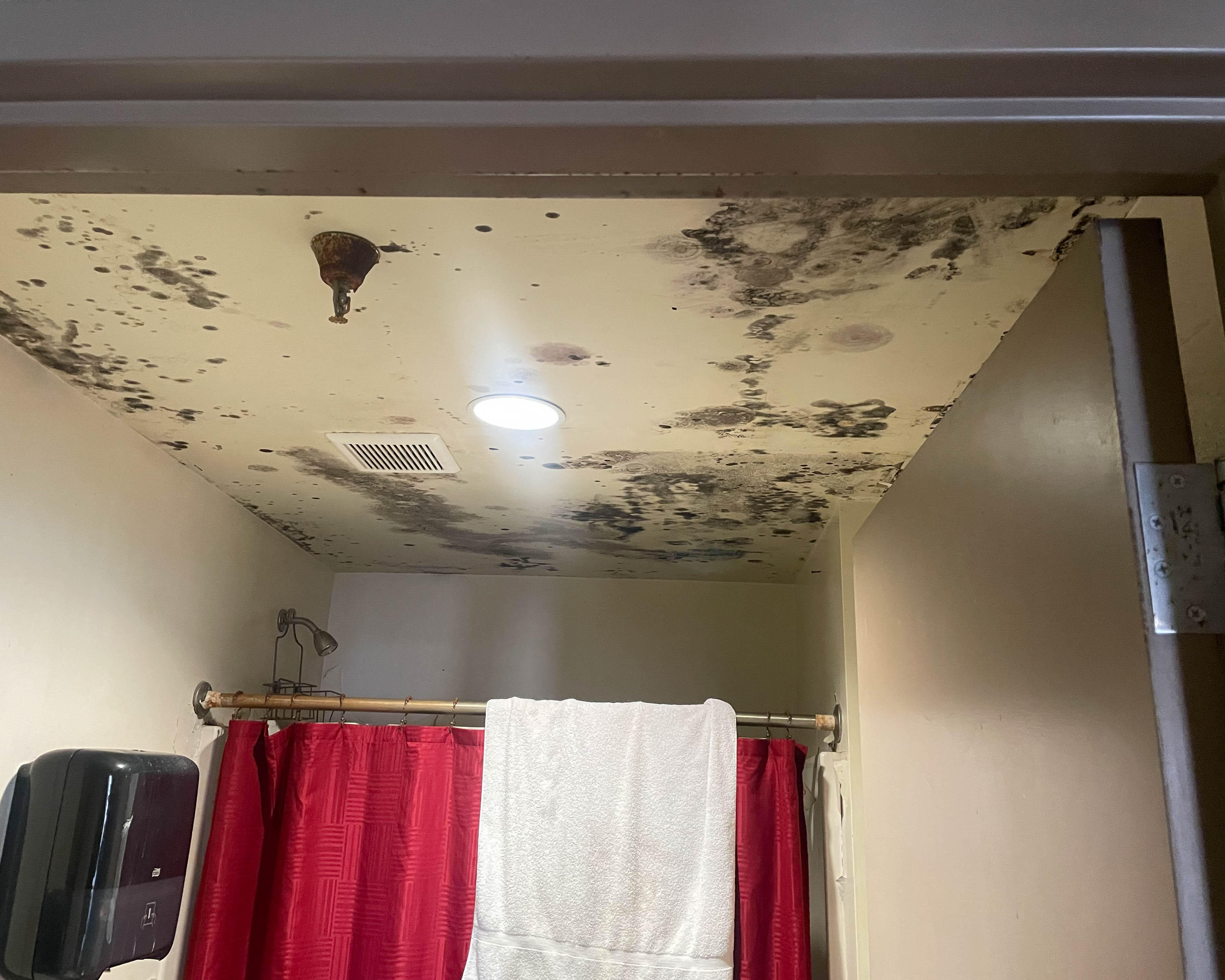 Mold can grow anywhere there is moisture! Don't try to deal with it on your own. SERVPRO of Chattanooga can help you with any hidden moisture in your Collegedale, TN home. Give us a call!