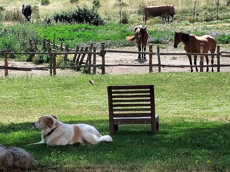 Images Agriturismo Monte La Puglia