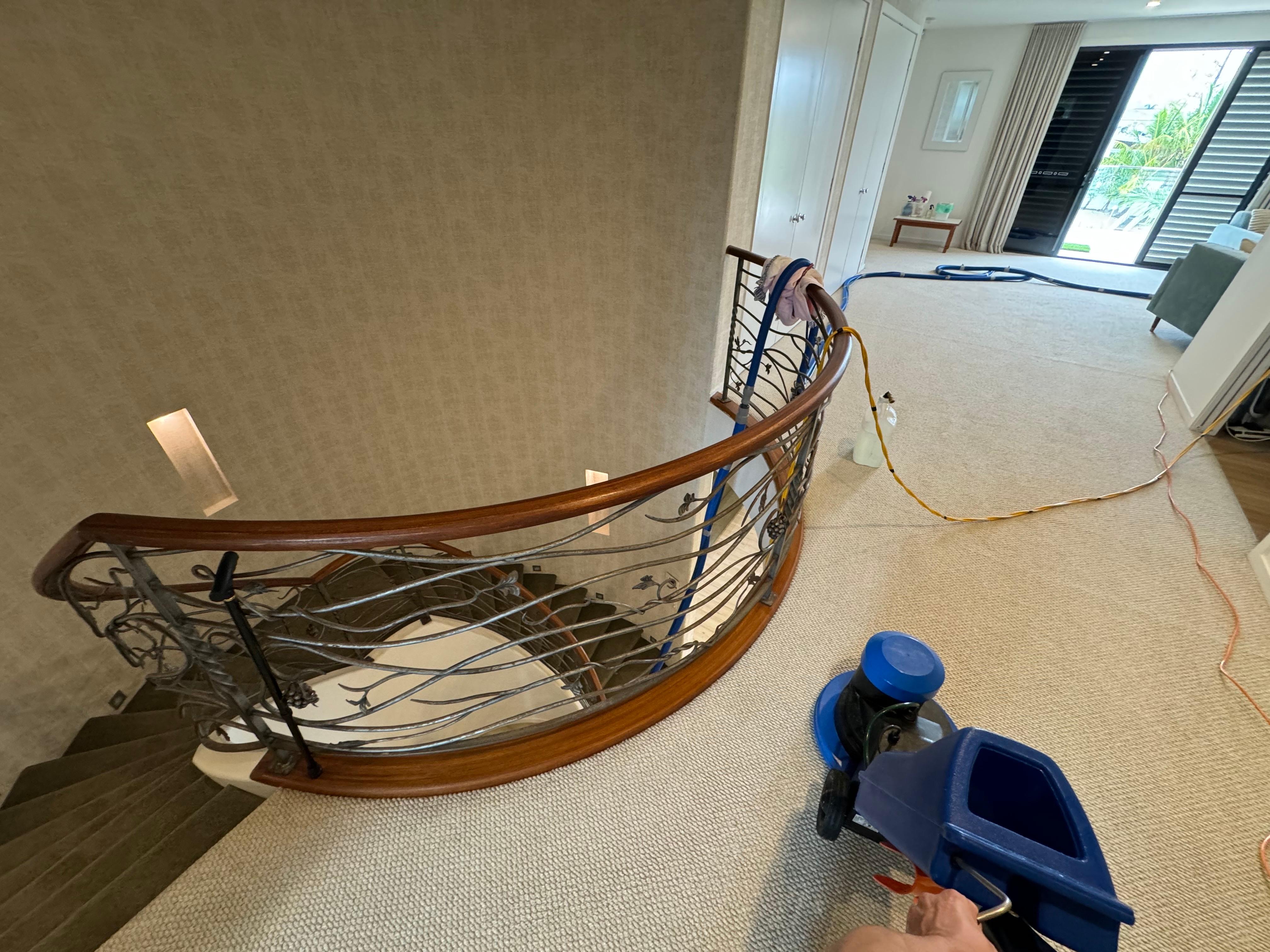 Images Eco Carpet Cleaning Gold Coast