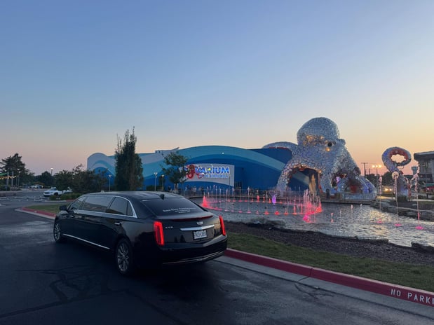 Images Limo-Time Entertainment