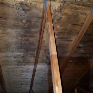 Images Décontamination ES - Décontamination et Après-Sinistre