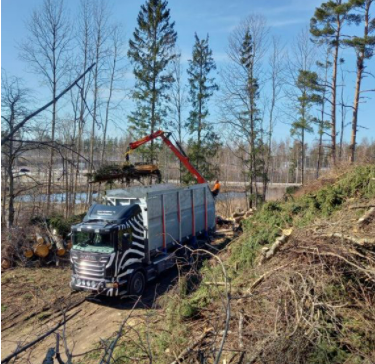 Images Metsä Matikainen Oy