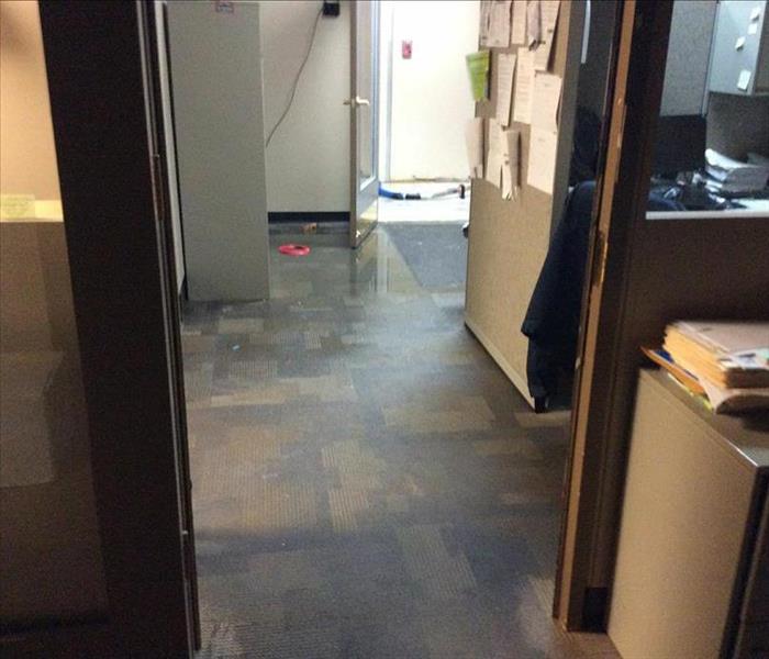 Arlington Office Experiences Water Damage
.SERVPRO of Arlington received a call from an office in Arlington after a water line broke causing water damage.