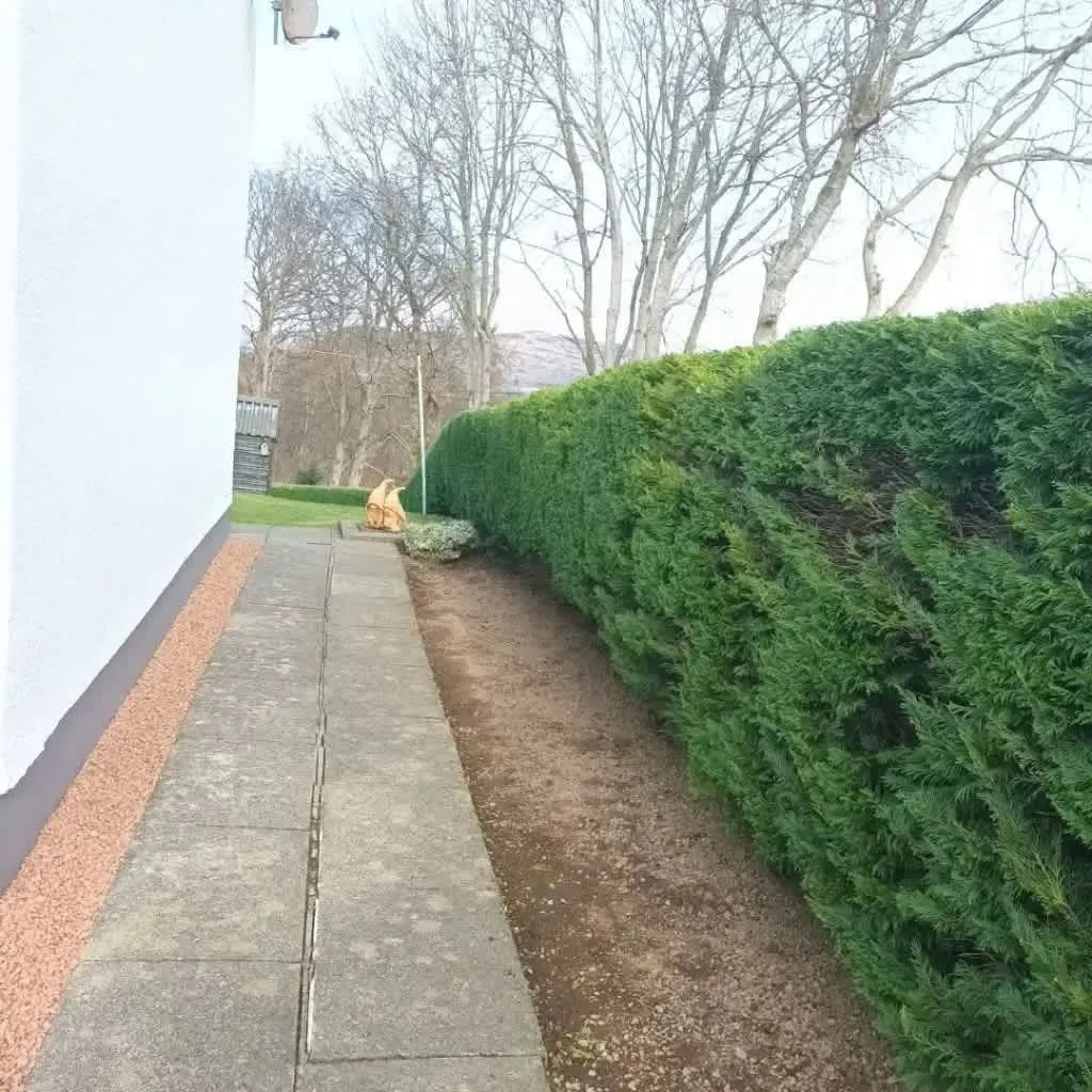 Images Star Fencing and Landscaping