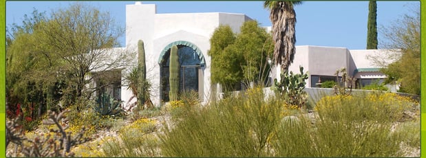 Images La Sierra Tree & Palm