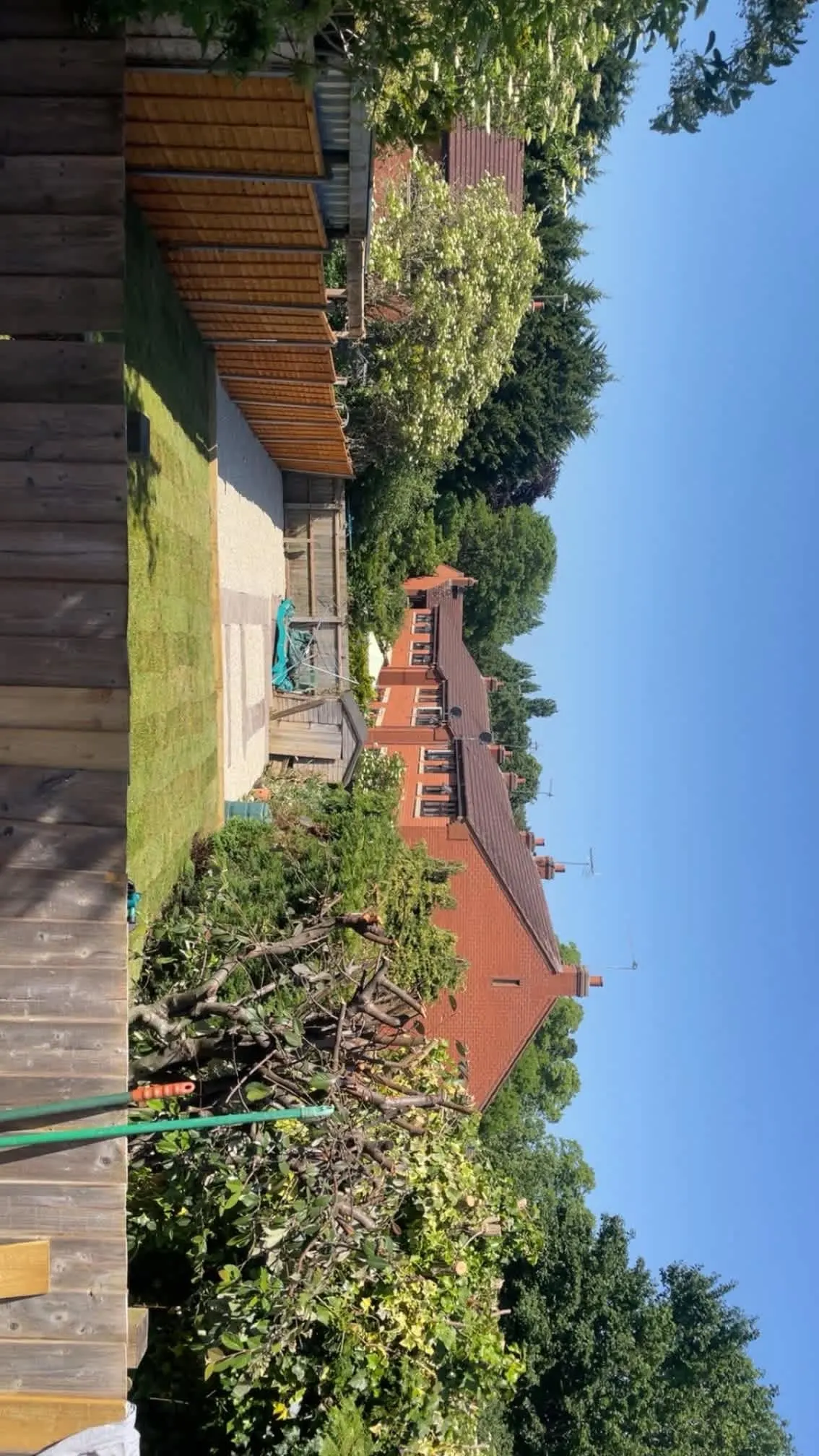 Images Oakwood Tree & Landscaping Services