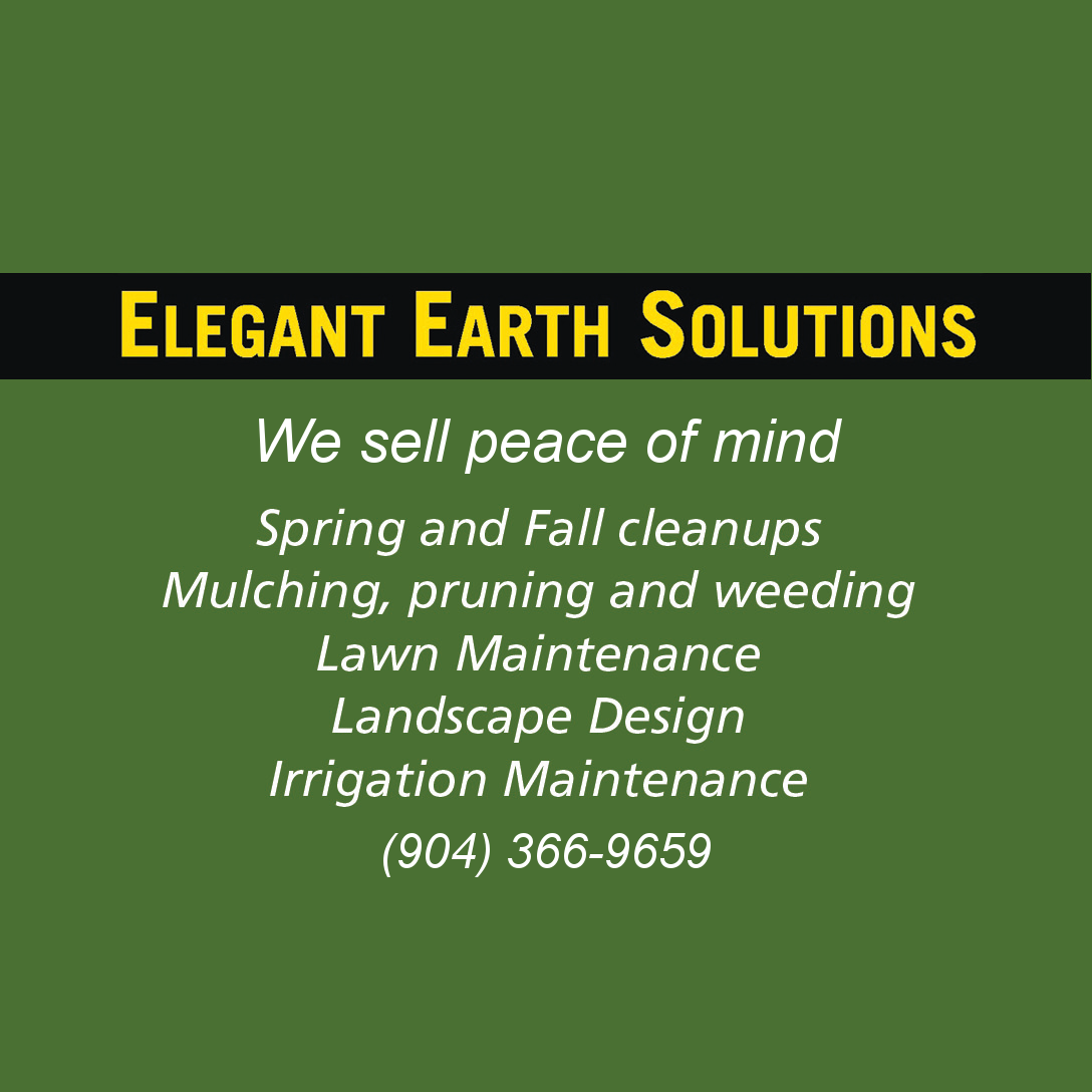 Elegant Earth Solutions