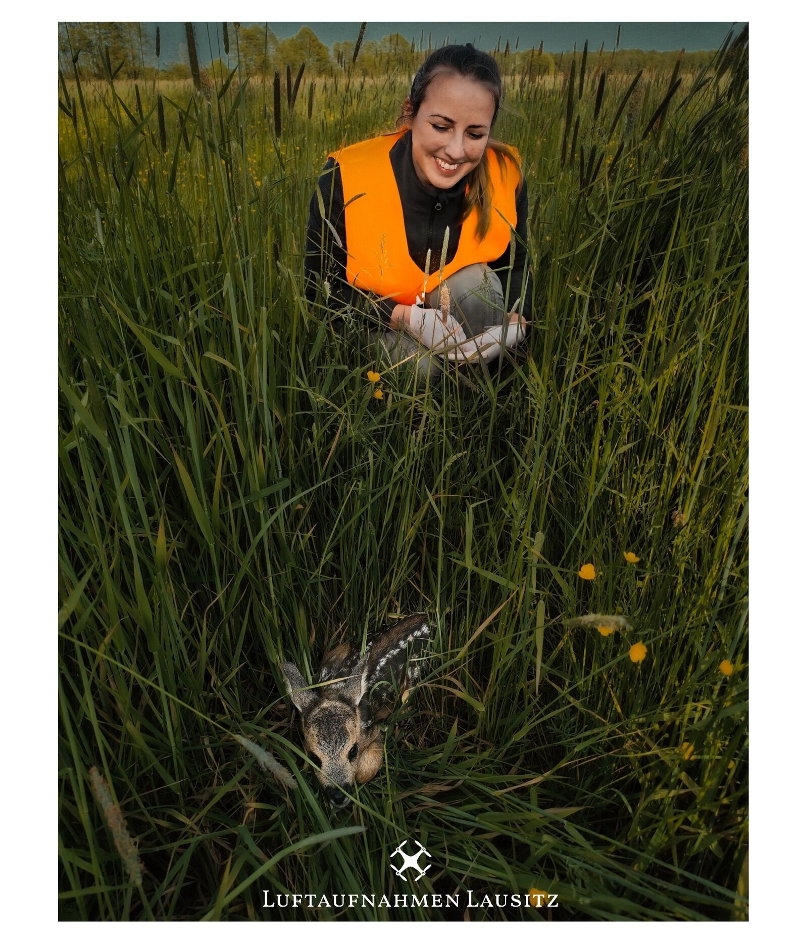 Luftaufnahmen Lausitz, Dresdener Straße 35 in Luckau
