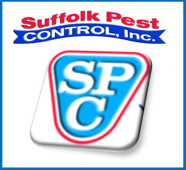 Images Suffolk Pest Control