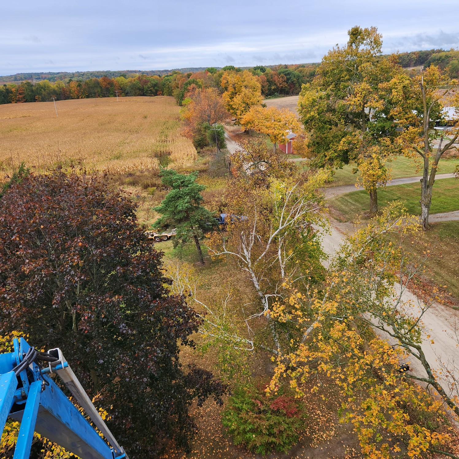 Milks Tree Service Inc Image