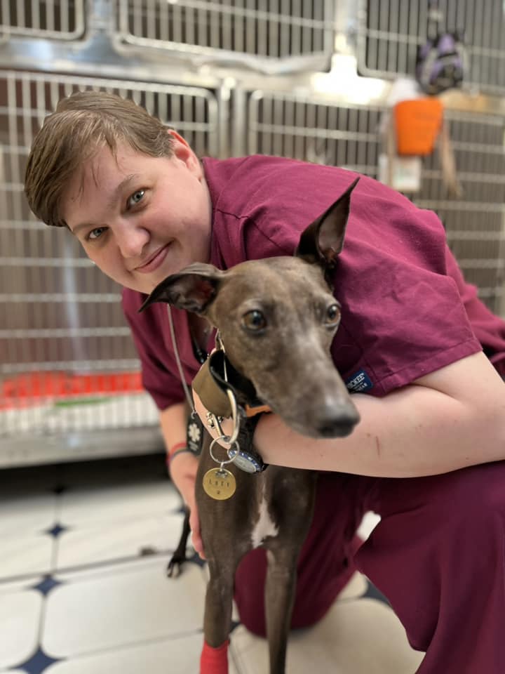 Images Streatham Hill Veterinary Surgery