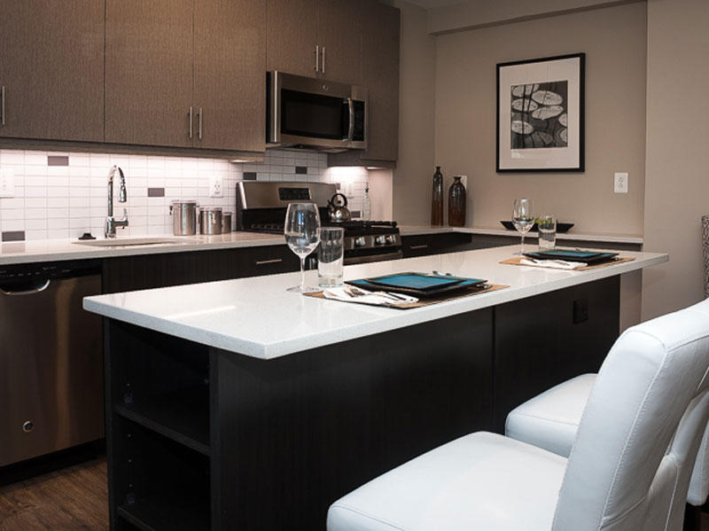 Embassy Tower Apartments Kitchen and Bartop