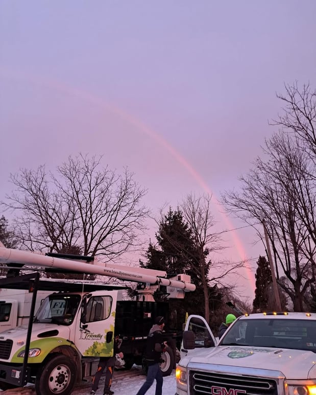 Images Friendly Tree Service Inc