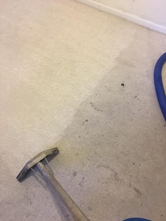 Images Starr Cleaning Services