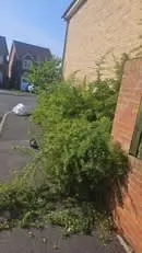 Images PG Garden Maintenance