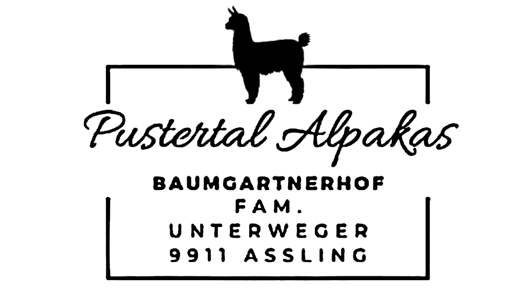 Bild 1 von Pustertal Alpakas vom Baumgartnerhof