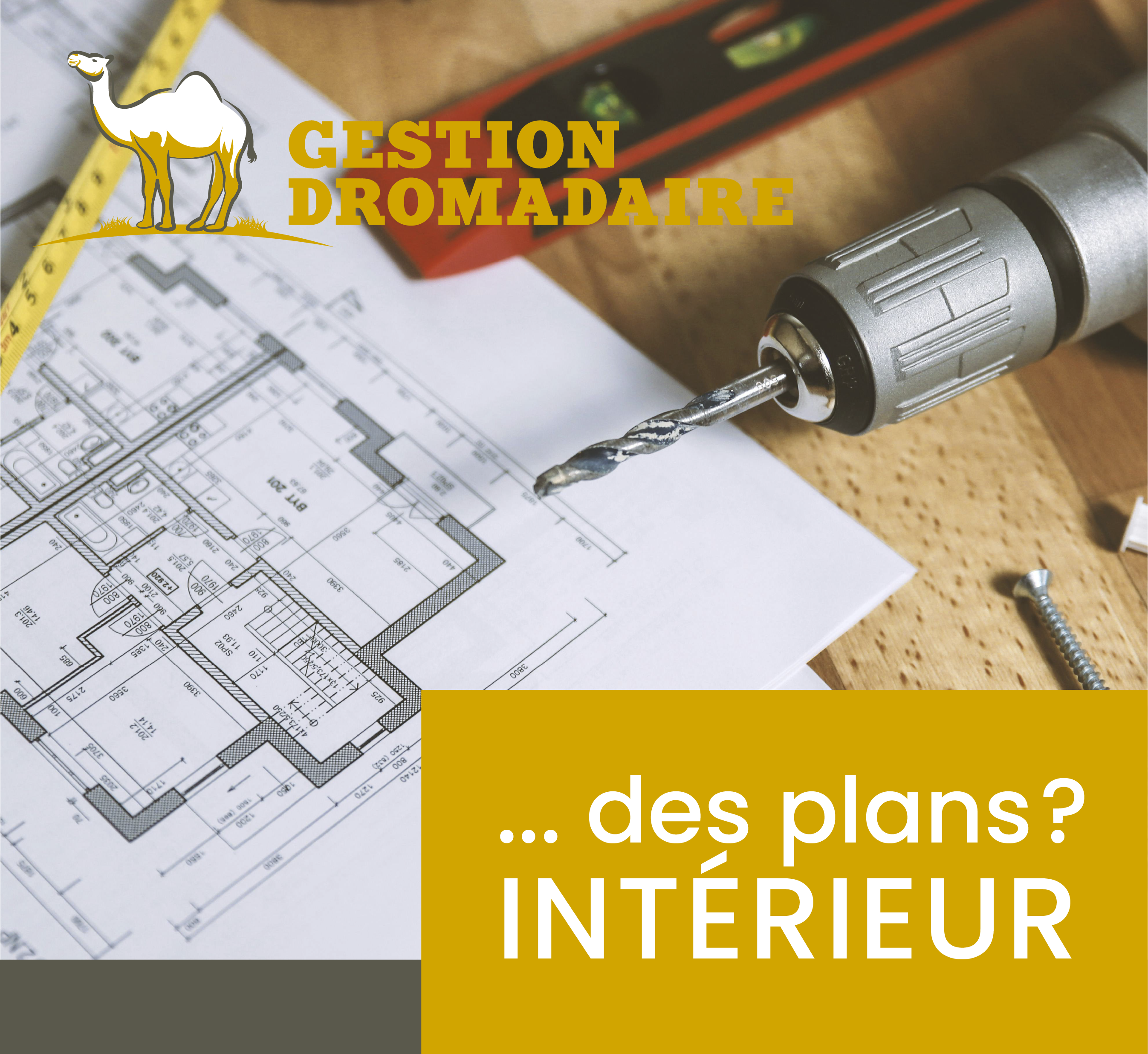 Images Gestion Dromadaire Inc