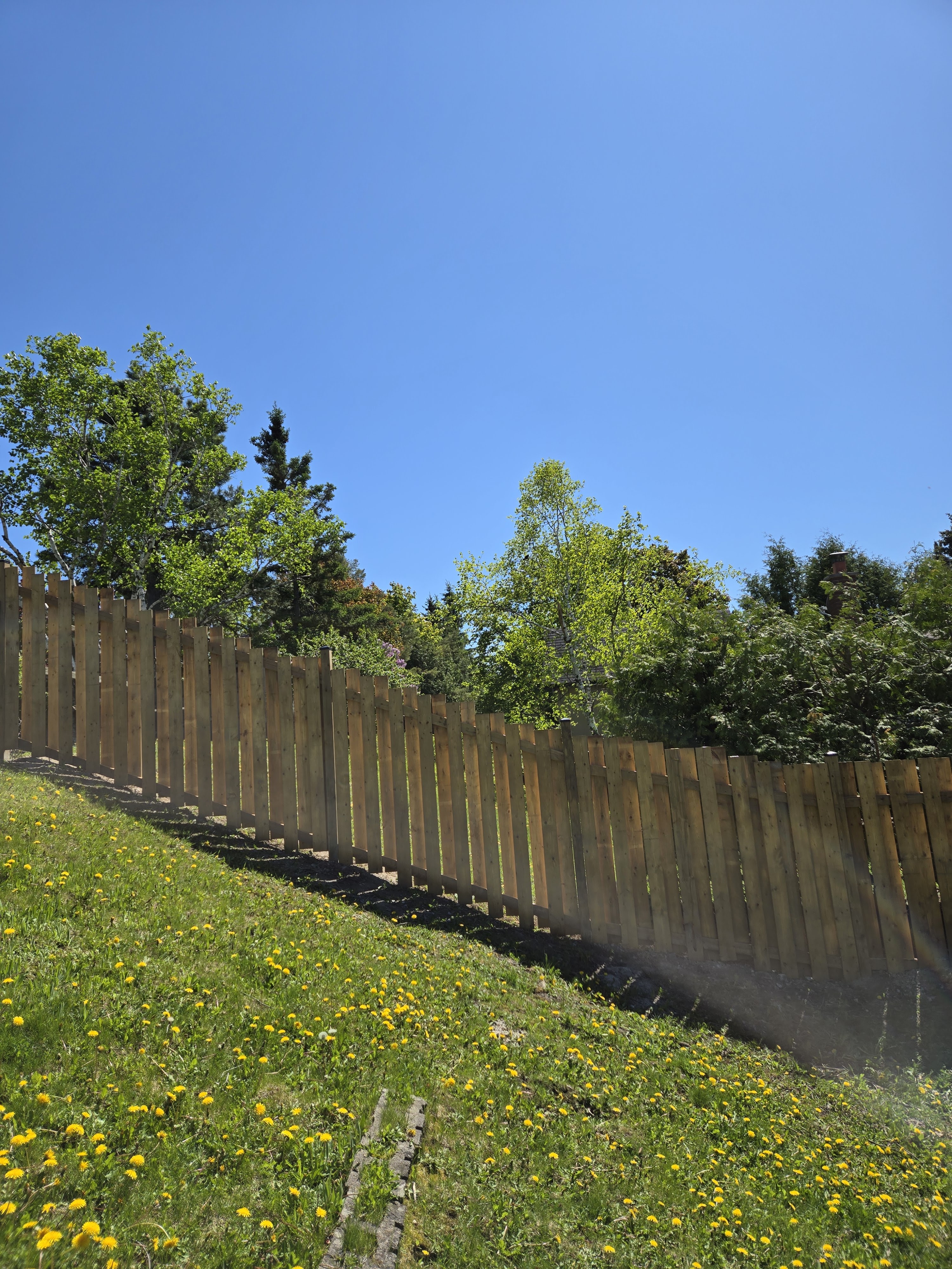 Images All Above Property Maintenance and General Contracting