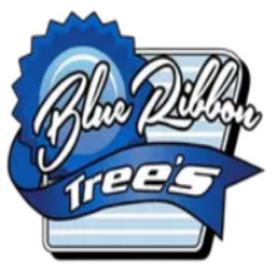 Blue Ribbon Tree's