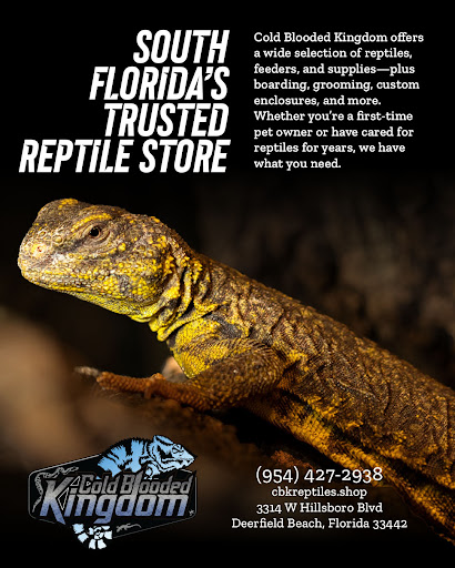 Images Cold Blooded Kingdom