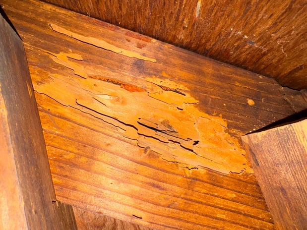 Images Colvin Inspections