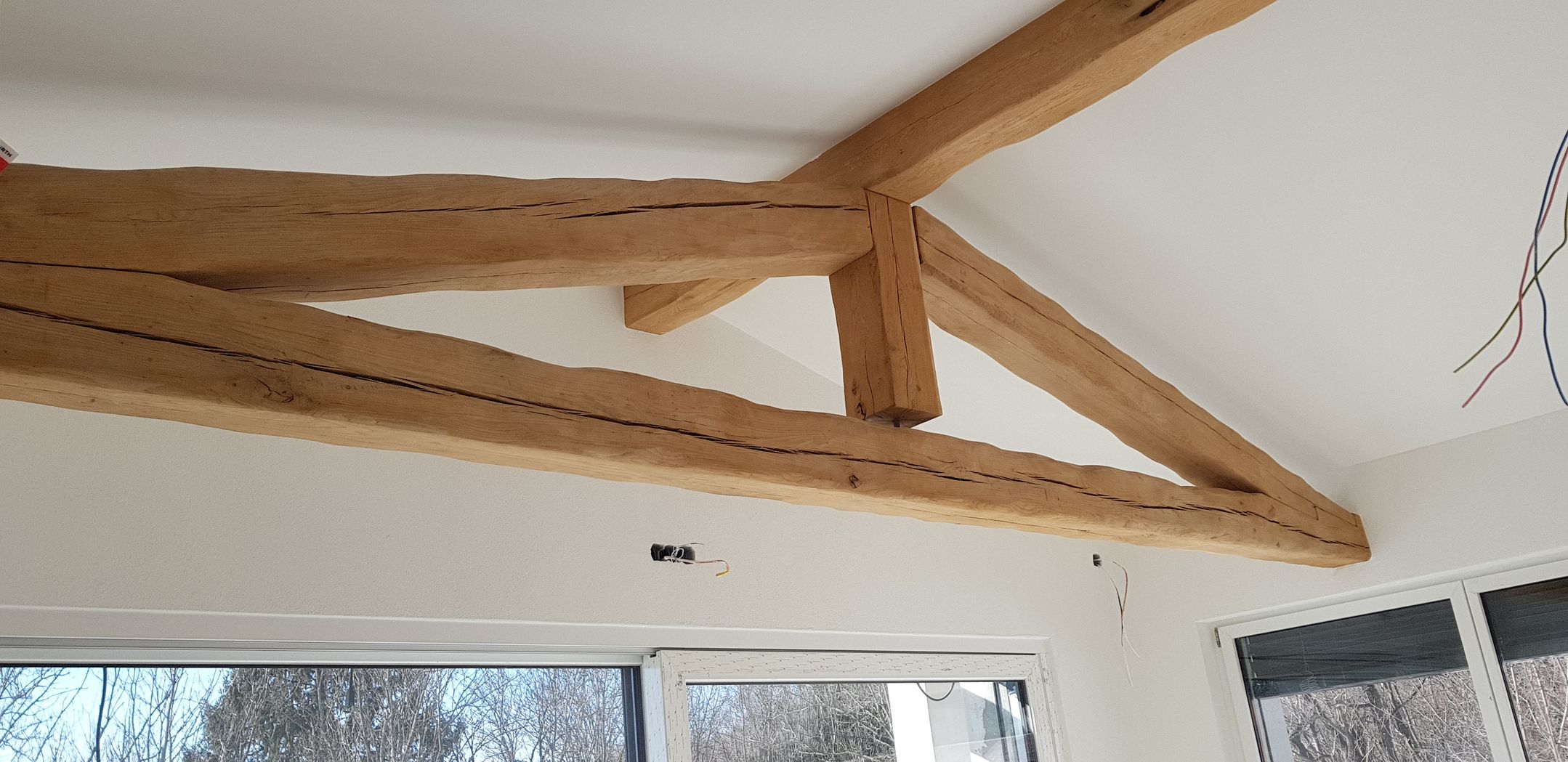 Bilder Hintermann e Ruffini SA