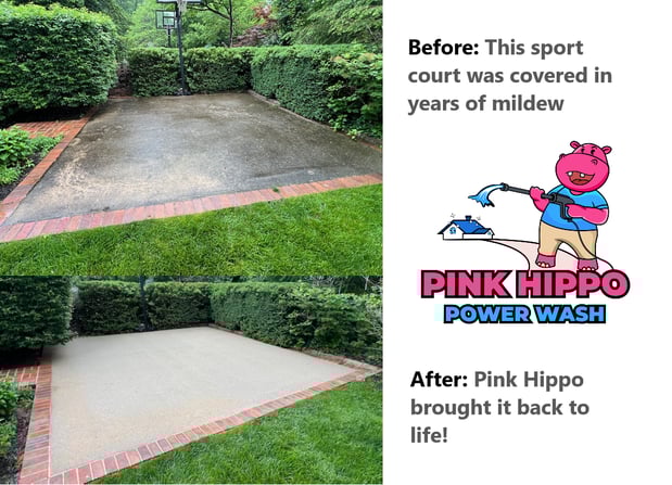 Images Pink Hippo Power Wash