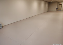 Aragon's Pro Painting Image