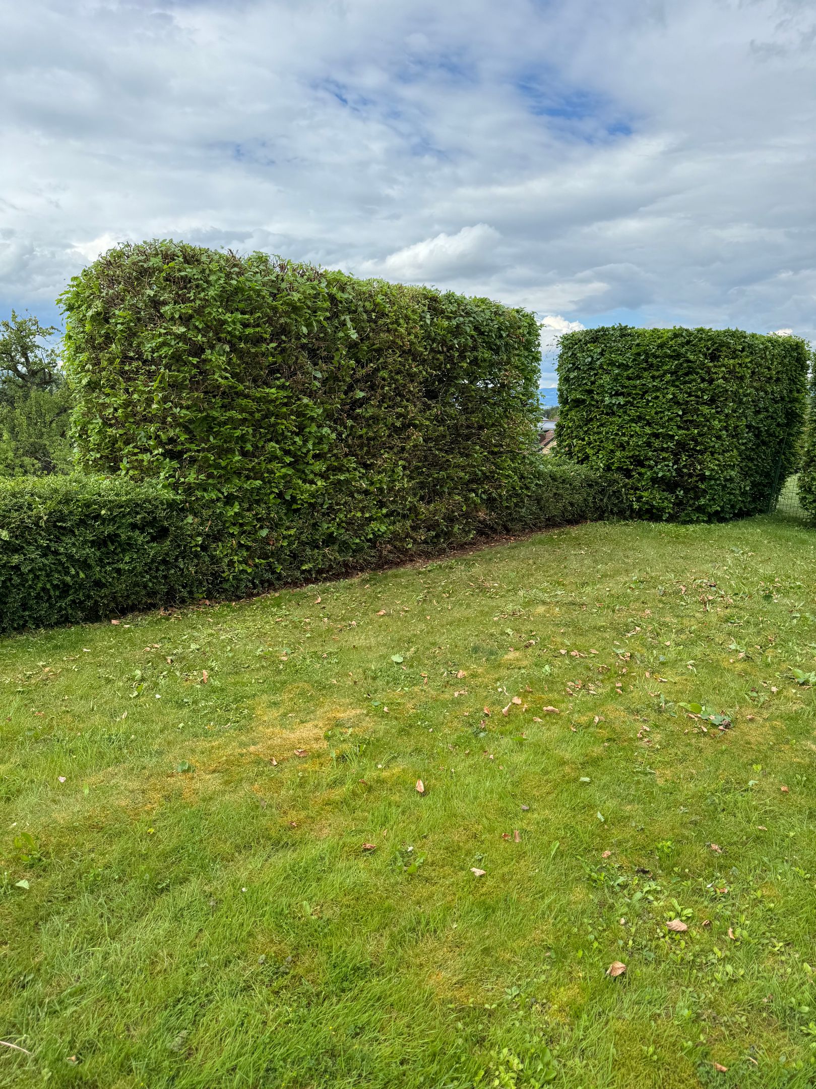 Bilder Casa Grande Hauswartung GmbH