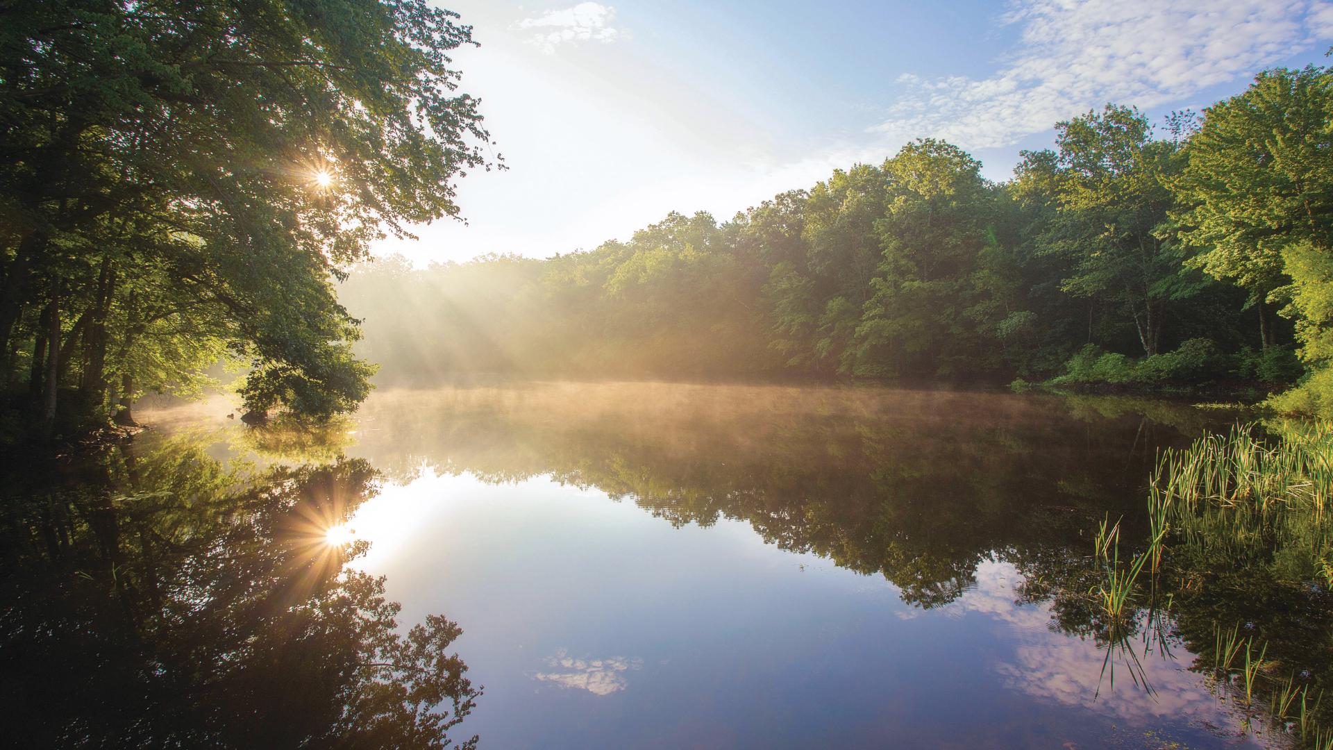 Enjoy a relaxed picturesque atmosphere