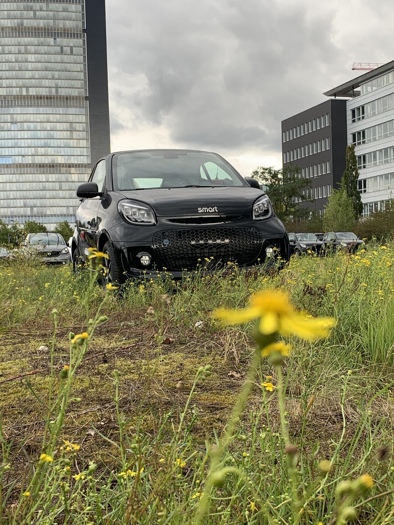 Fahrschule am Bärenbrunnen, Orsaystraße 3 in Kempen