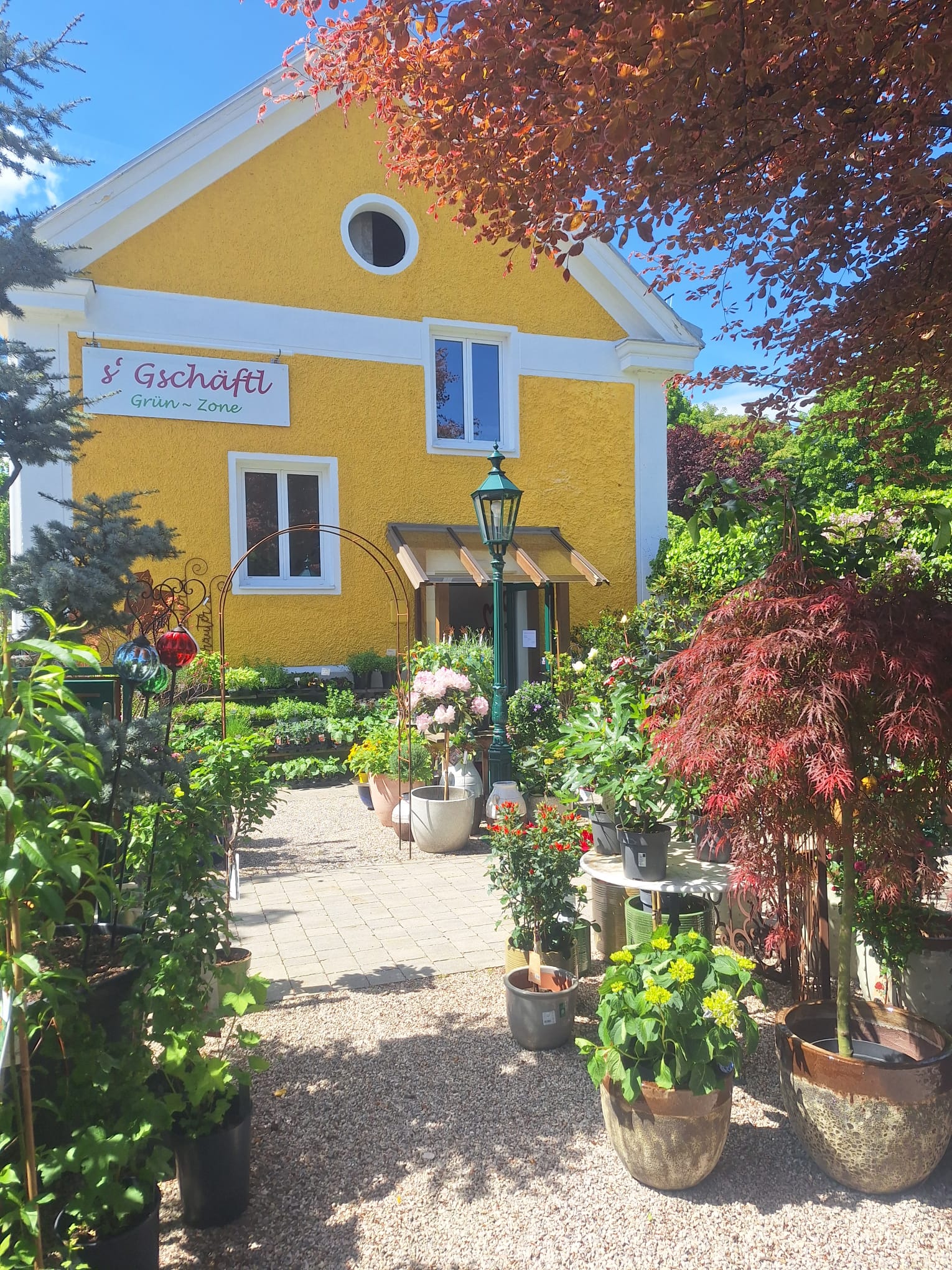 Bild 7 von Grün-Zone