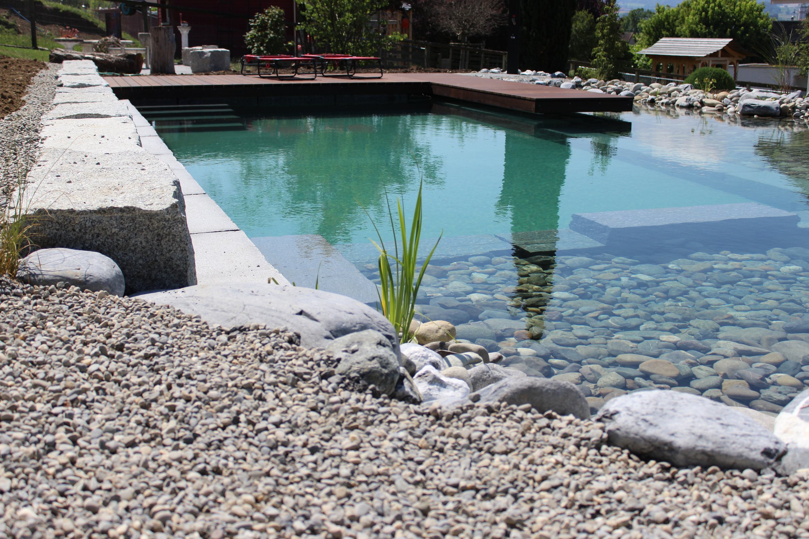 Tschann und Rietmann Gartenbau AG, Wilerstrasse 50 in Amlikon-Bissegg