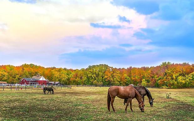 Images Hart Insurance Agency