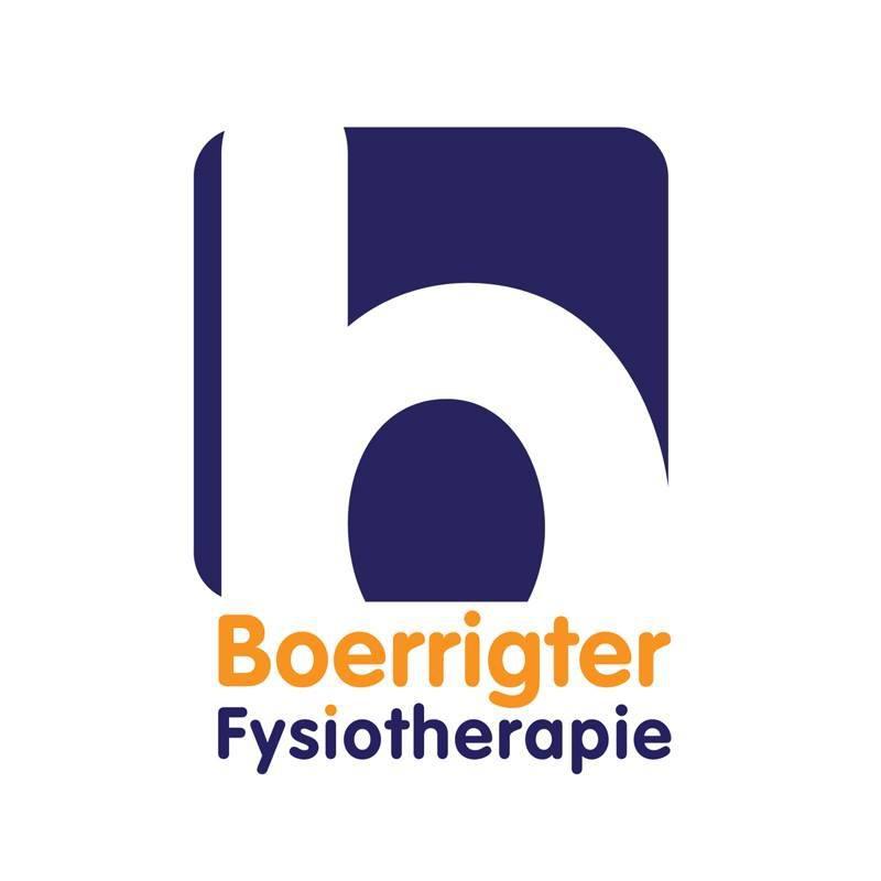 Boerrigter Fysiotherapie Logo