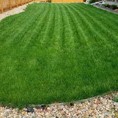 Images Lawn Doctor - Colorado Springs & Pueblo