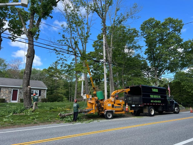 Images Yankee Tree Service