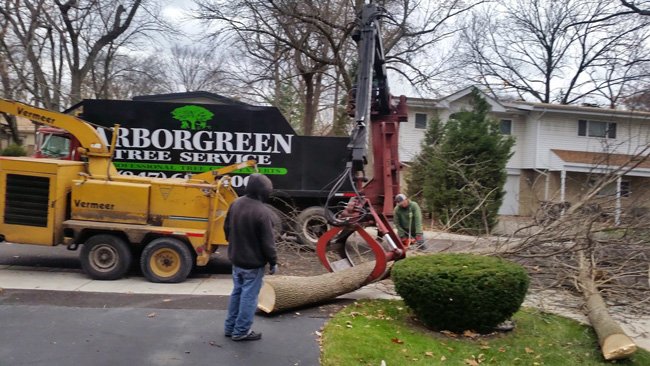 Images Arborgreen Tree Service Inc.