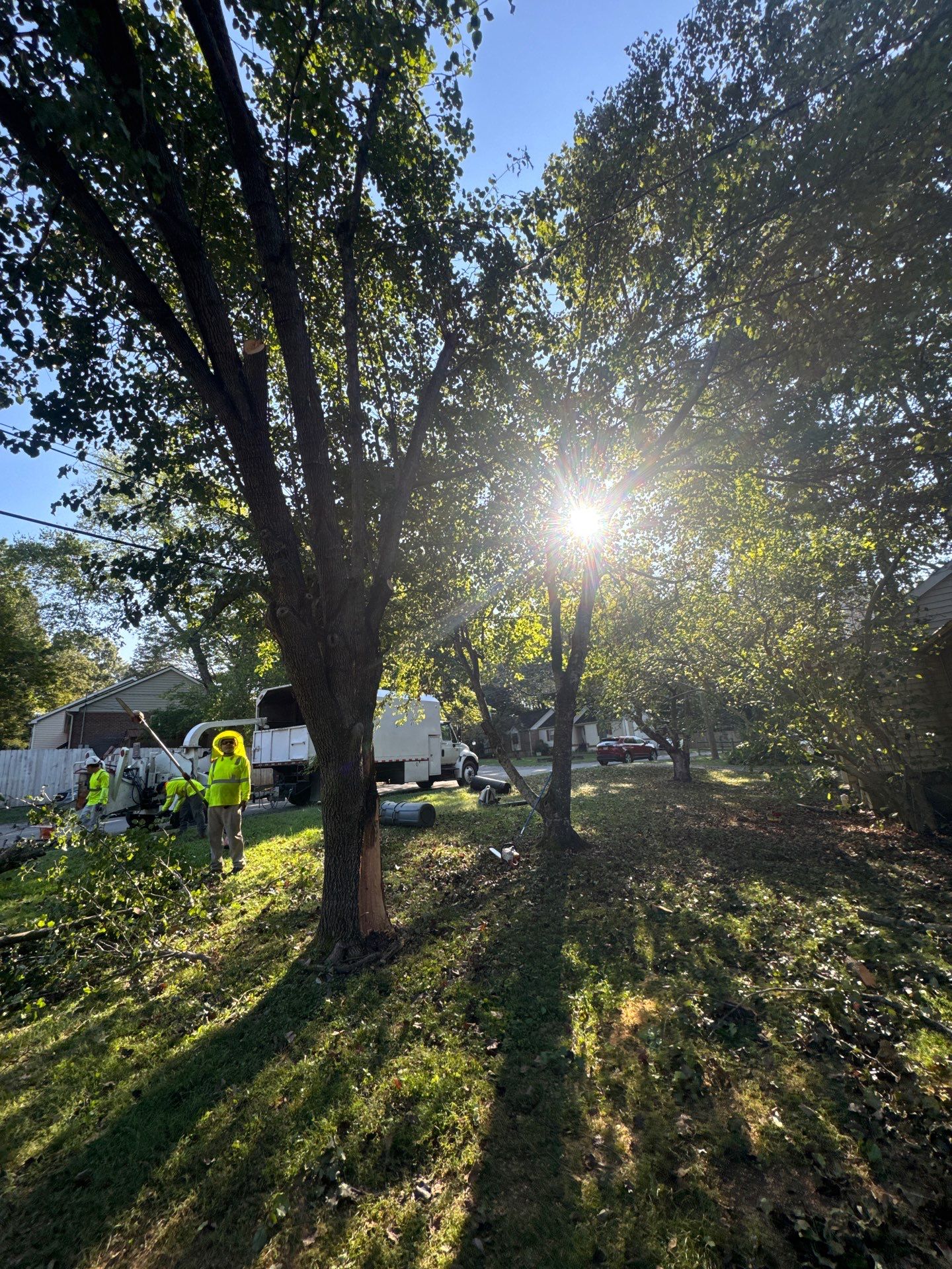 Tree Masters of Tennessee Image