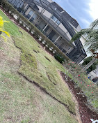 Images Central Florida Exterior Solutions LLC