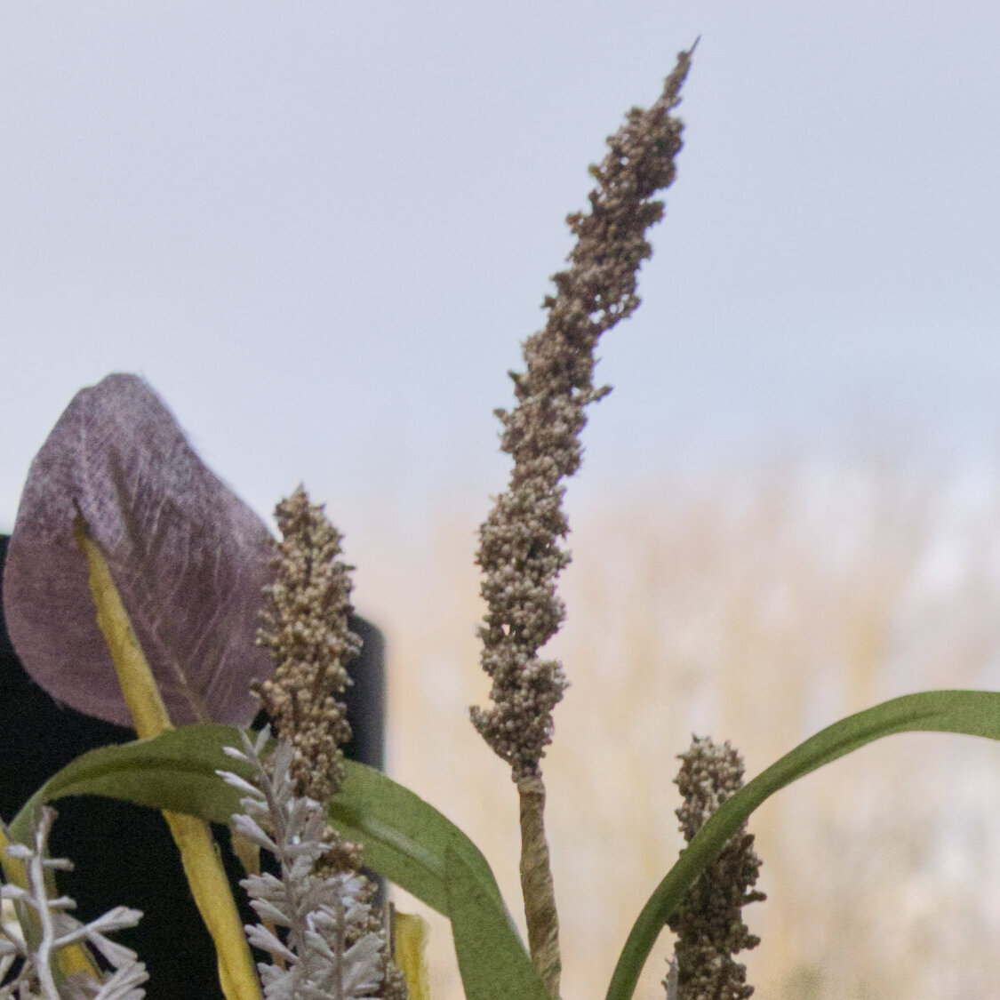 Ferienhaus im Bergdorf Hohegeiß, Wilhelm-Raabe-Straße 9 in Braunlage