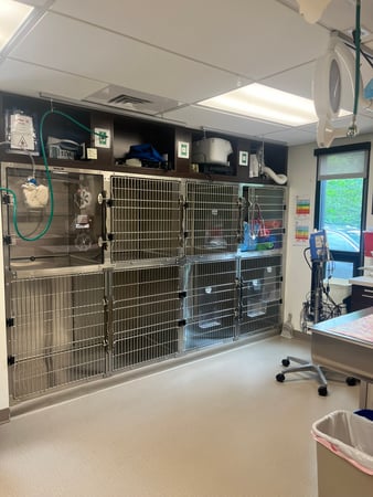Images VCA Castle Shannon Animal Hospital