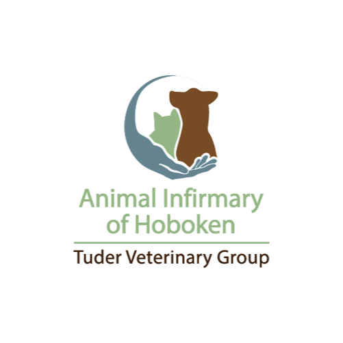 Animal Infirmary of Hoboken Logo